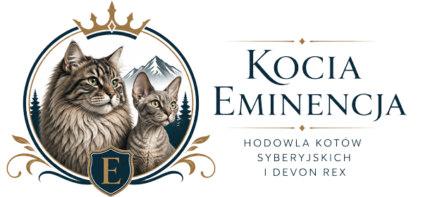 Hodowla kotów Kocia Eminencja